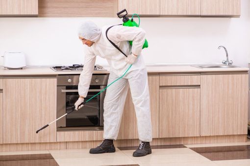 Rodent Control